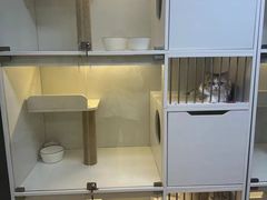 -十月米努特矮脚猫舍