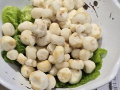 小马蹄-探窝·竹笙椰子鸡(杨箕店)