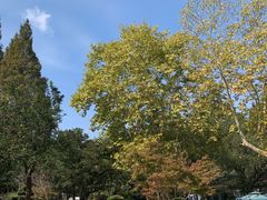 -浙江医院(灵隐院区)