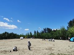 -东郊湿地公园