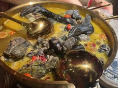 -Darling Queen·Mini·Live·House