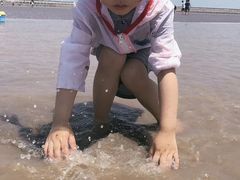 -南汇嘴观海公园