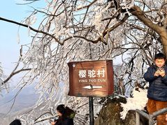 -紫金山山顶公园