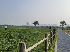 -汉长安城未央宫国家考古遗址公园