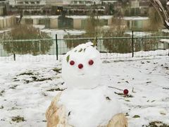 -春晖园度假酒店温泉