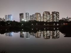 -福田红树林生态公园