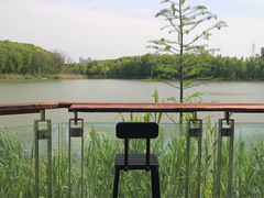 -昆山城市生态森林公园