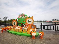 -上海长兴岛郊野公园