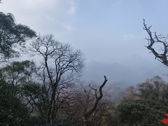 -青城山