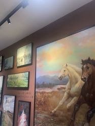 -苏州奥拉克美容医院