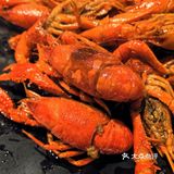 夏天该吃虾了，快来严三毛！！