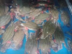 -宾朋海鲜特色美食餐厅·纯手工鲅鱼水饺(兴海路店)