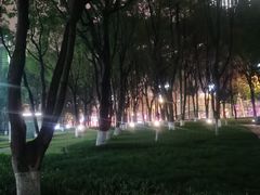 -重庆市江北嘴中央商务区中央公园