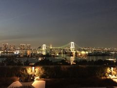 -台场海滨公园船码头