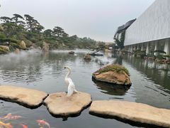 -罗红摄影艺术馆