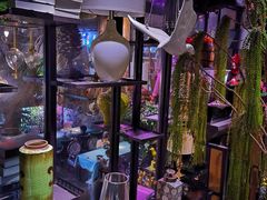 -范设计花园餐酒咖·中西餐·咖啡厅·酒馆