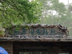 -燕塞湖鸟语林景区