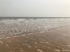 -日照海滨国家森林公园
