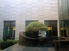 -上海崇明金茂凯悦酒店