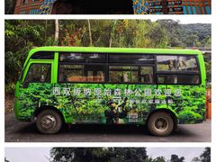 -西双版纳原始森林公园