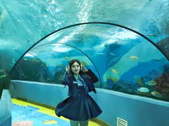 -合肥海洋世界