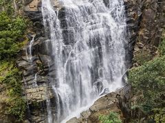 -海南热带雨林国家公园吊罗山景区