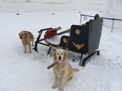 -长白山华美胜地滑雪场