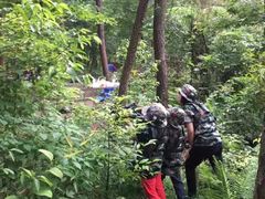 -铁山坪森林公园