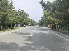 -日照海滨国家森林公园