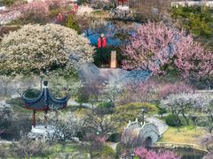 -苏州冶园园林民宿(太湖西山风景区店)