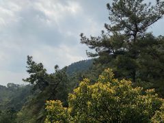 -缙云山索道售票处