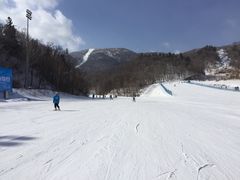 -亚布力新体委滑雪场