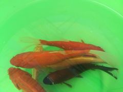 水上乐园-水上乐园·欢乐世界