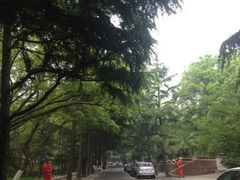 iphone_upload_pic-八大关景区
