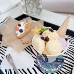 -美肤盾祛痘·问题肌头疗管理中心