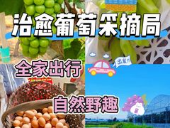 -马陆小张葡萄园农家乐