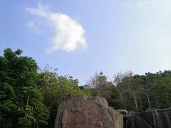 -神光山国家森林公园