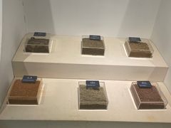 -安徽省地质博物馆