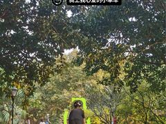 -白沙门生态公园