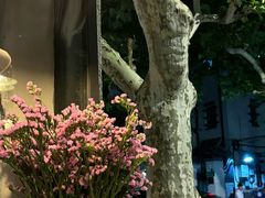 -Apollo·西班牙小酒馆(安福路店)