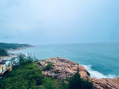 -广东惠东海龟国家级自然保护区