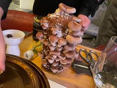 -斯普汇生蚝牛排馆(中骏世界城店)