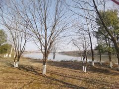 -盘龙城国家考古遗址公园