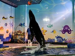 -太平洋海底世界