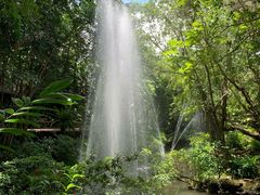 -绿光森林餐厅
