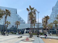 -金沙湖公园