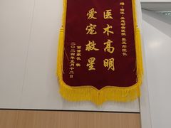 -瑞派·关忠动物医院·猫专科·犬专科(三环新城店)