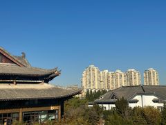 -曲水兰亭(北京四惠店)