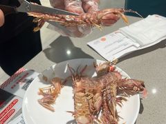 -大锅强·蒸海鲜青岛菜(吾悦广场店)