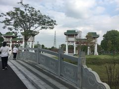 -王借岗森林公园